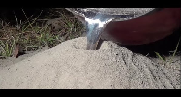 É isto que acontece quando se derrama alumínio líquido sobre um formigueiro…